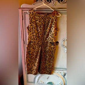 Leopard print shift with sheer over jacket